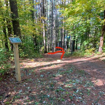 Hole 7 tee