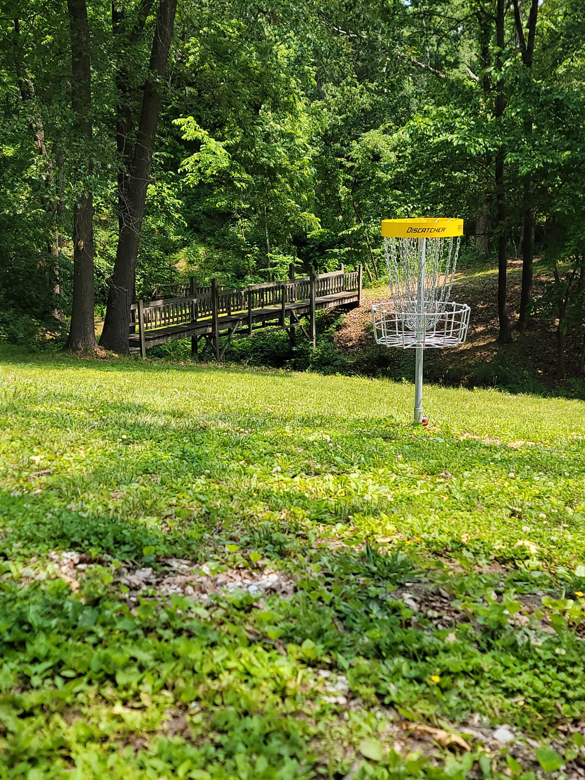 Hole 9 Basket