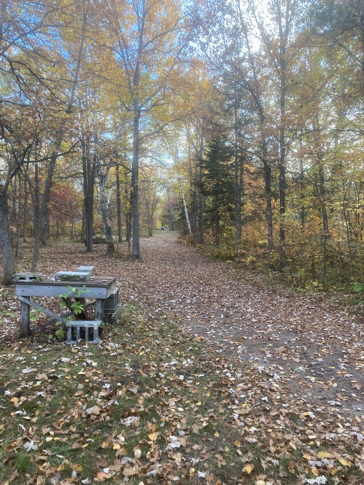 Hole 6 Tee and fairway
