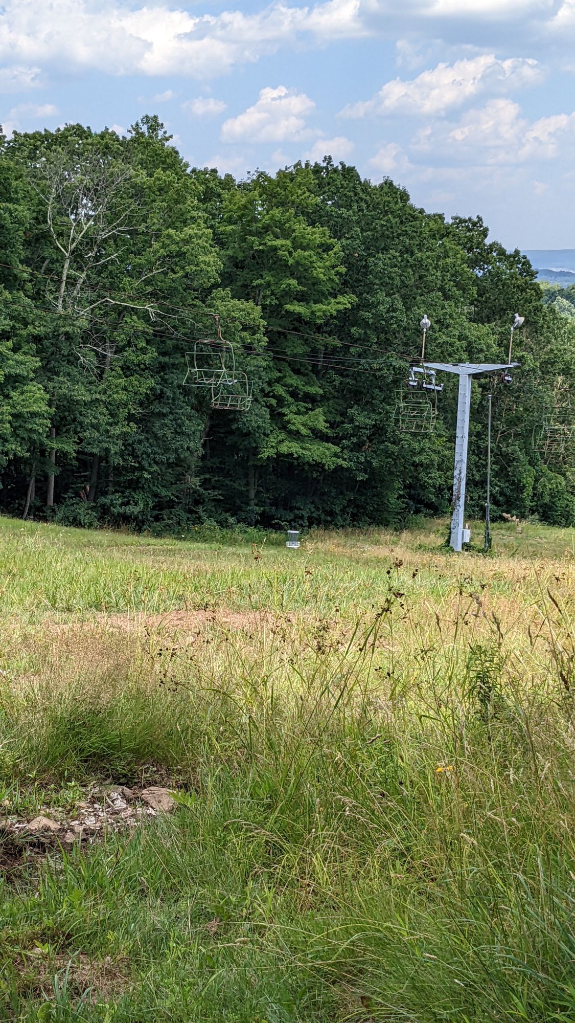 Hole 7