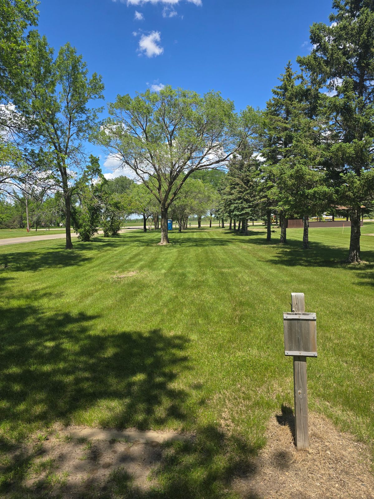 6 tee