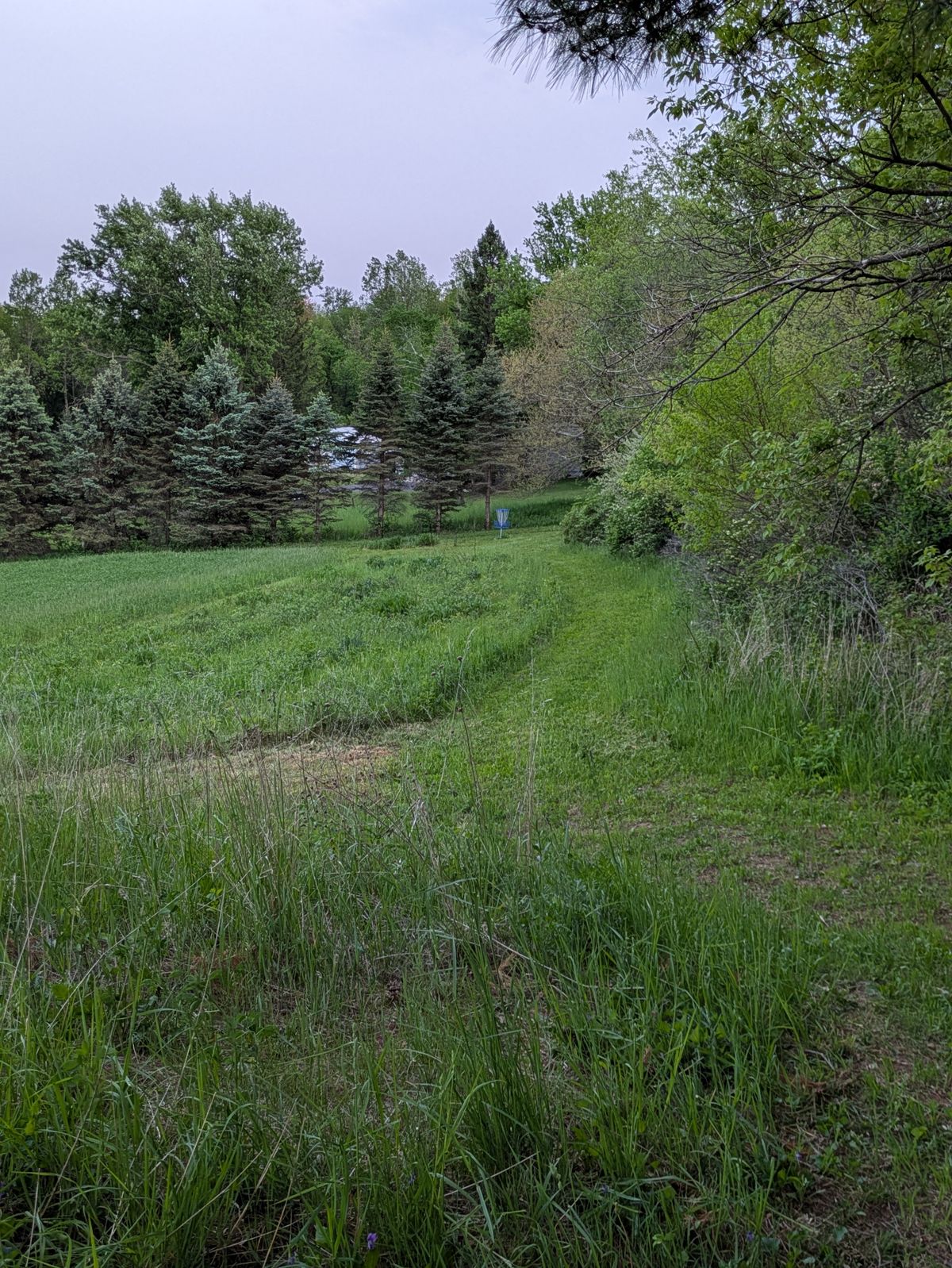 Dirt Ridge