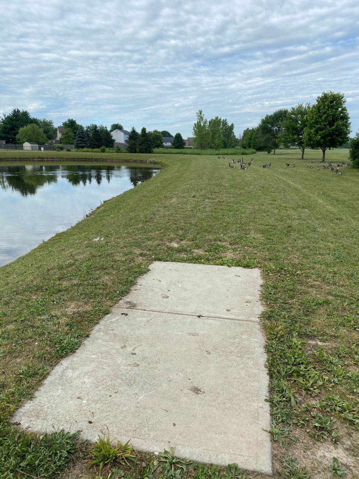 Hole 3 (Tee Box)