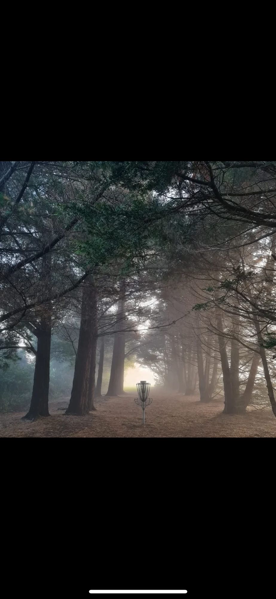 Hole one in reverse on a misty morning 😊