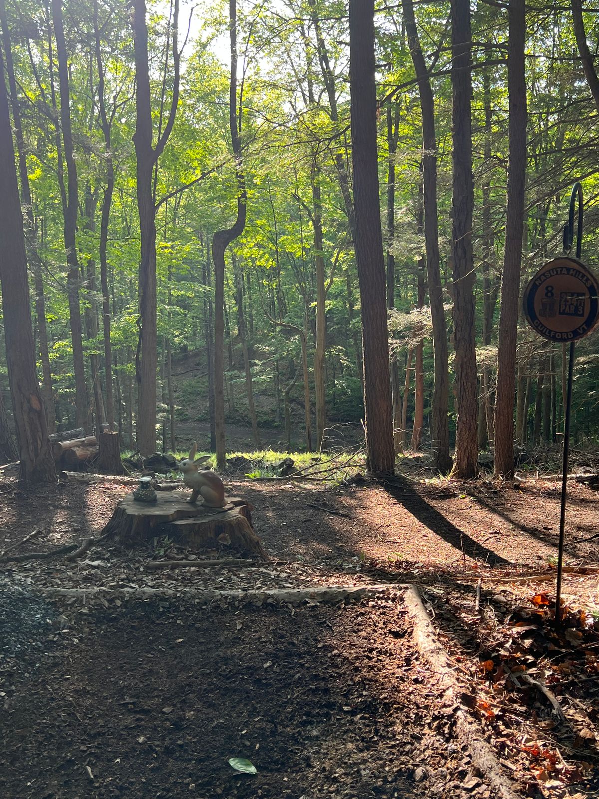 Hole 8! The Course favorite! Techy downhill rip! Still looking for that 1st Ace here!