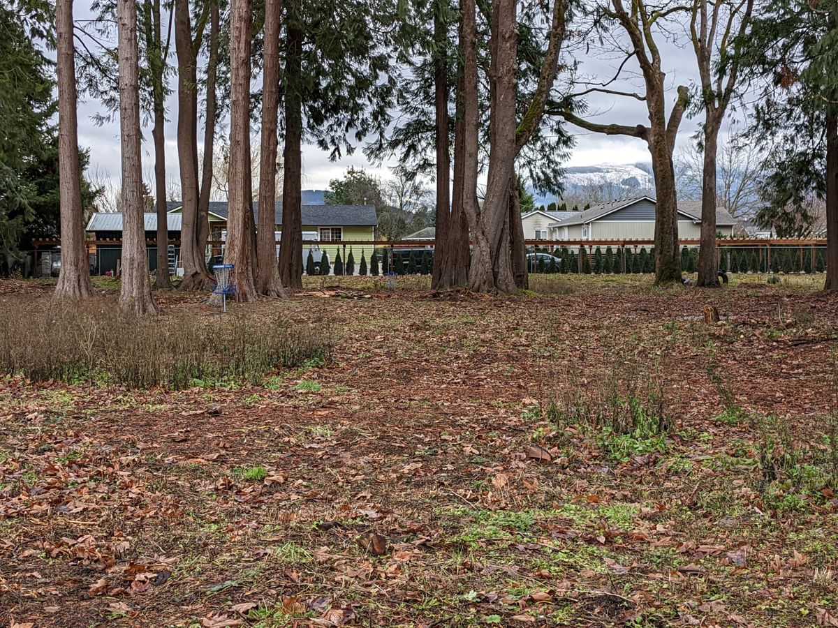From tee #3.  Basket #3 is in the gap back near the fence, Basket #1 is by the trees on the left side of the picture. 