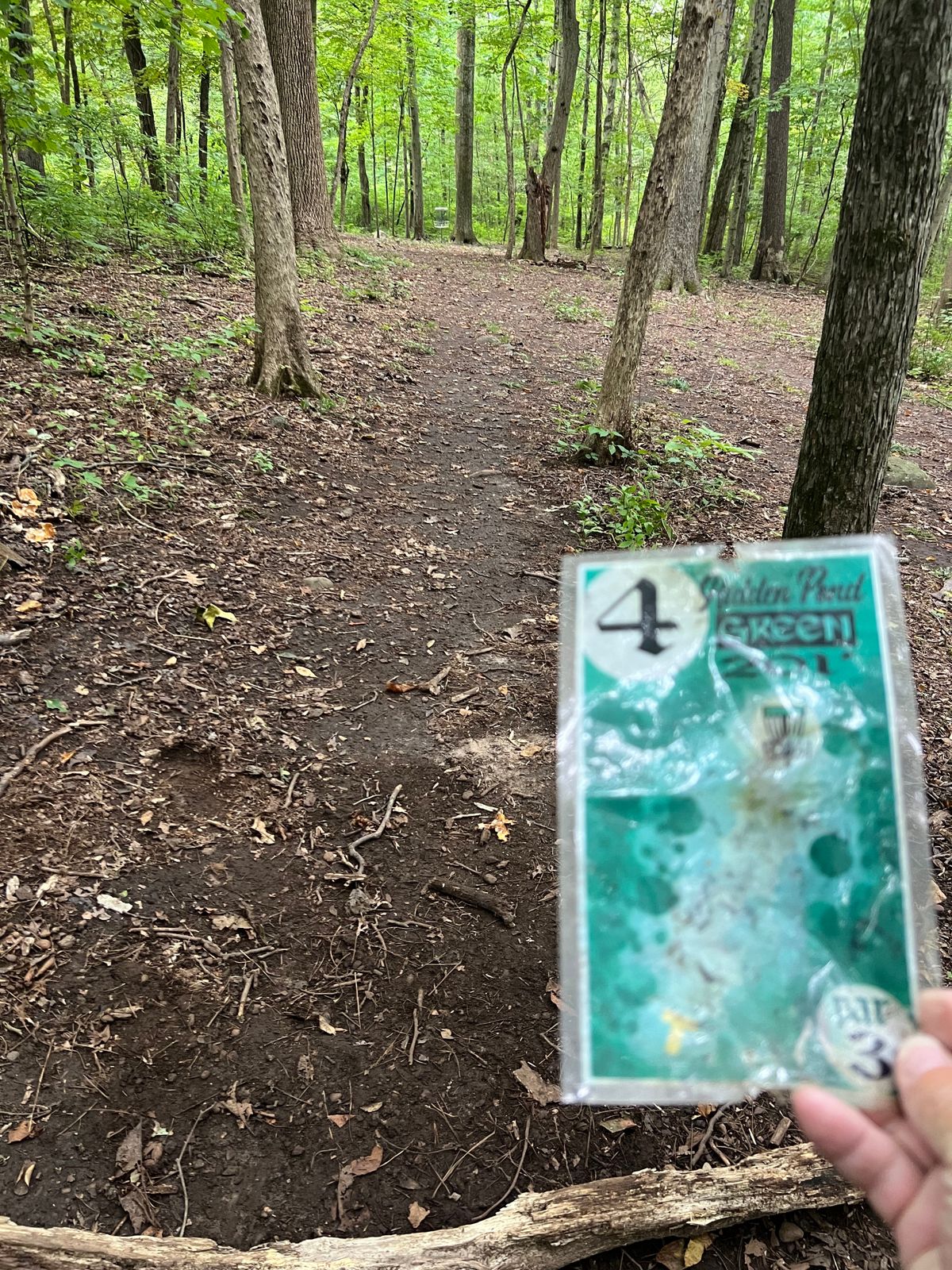 Hole #4