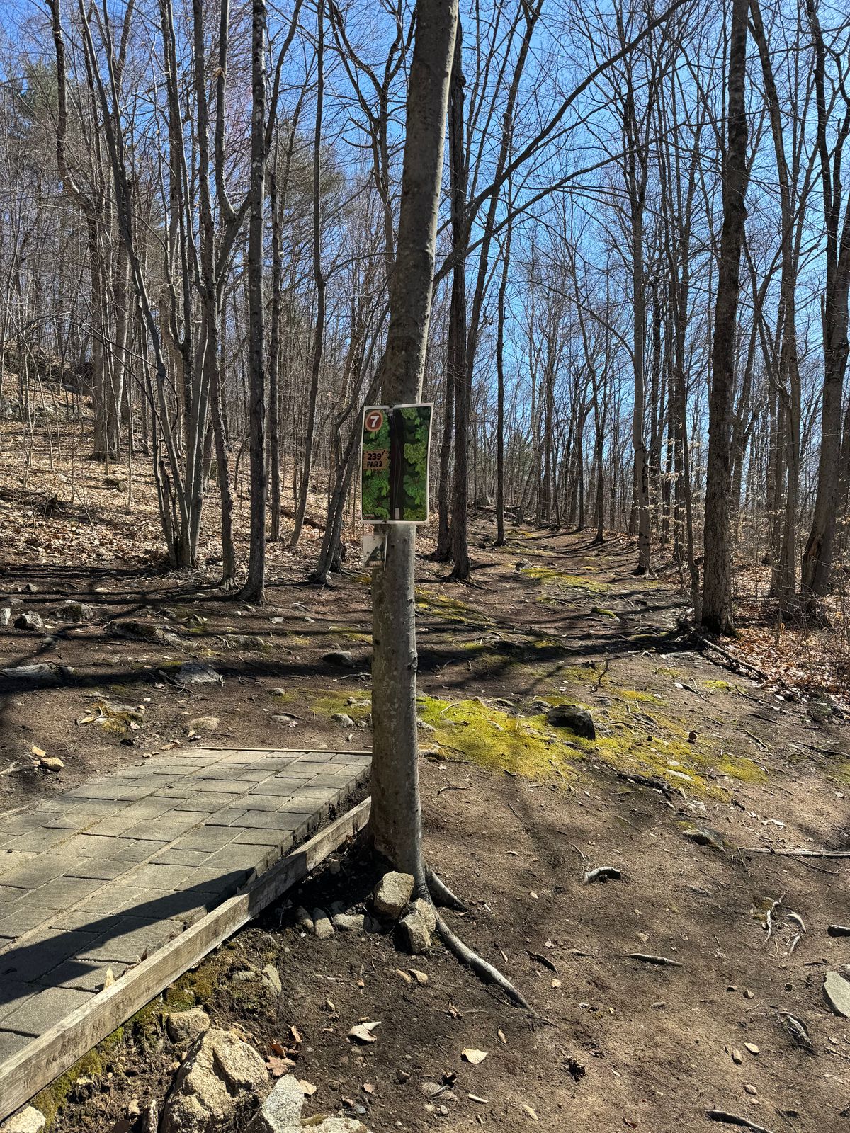Hole 7
