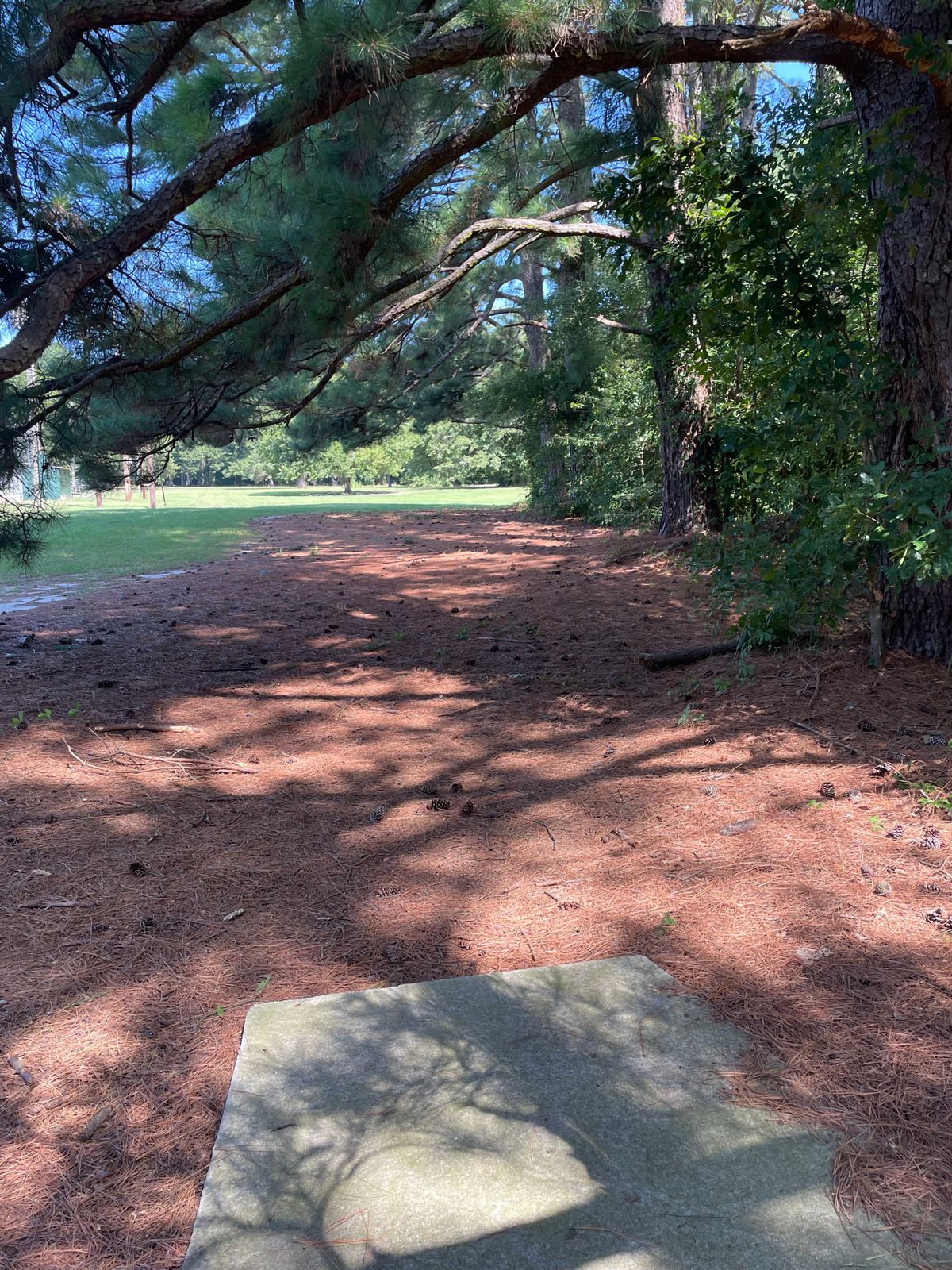 Hole #13 From The Tee Pad