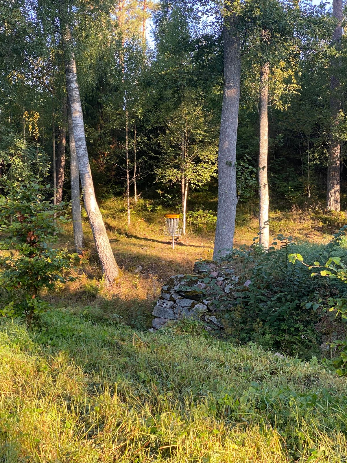 Hole 4