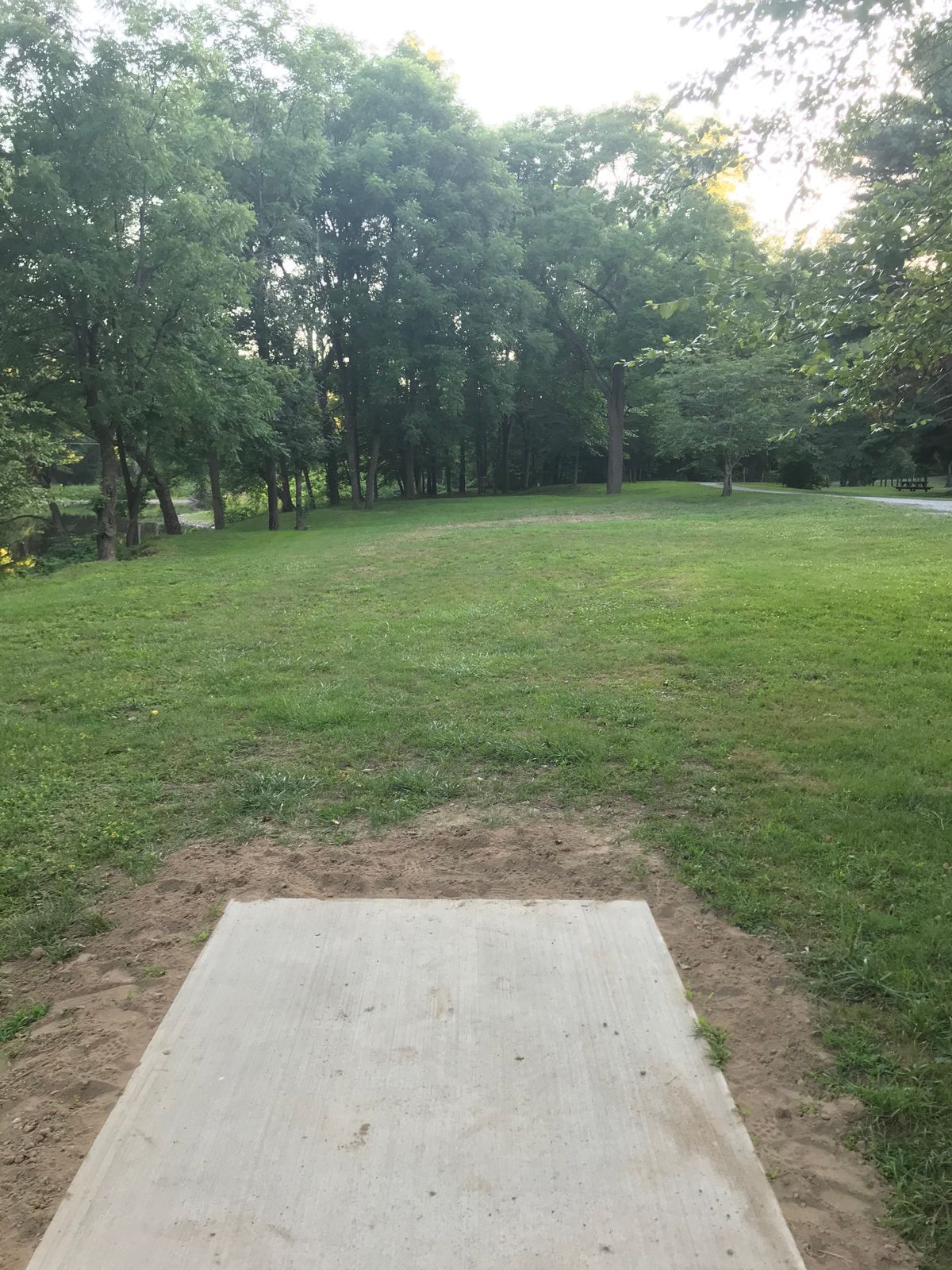 View from hole 6 teepad (zoom to see basket nestled in among trees, straight ahead)
