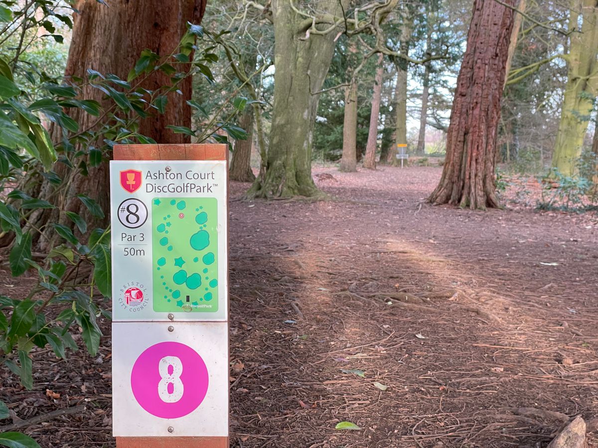 Hole 8