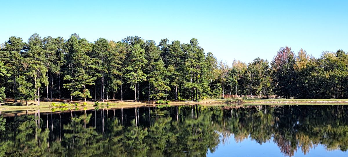 Near holes 15 and 16