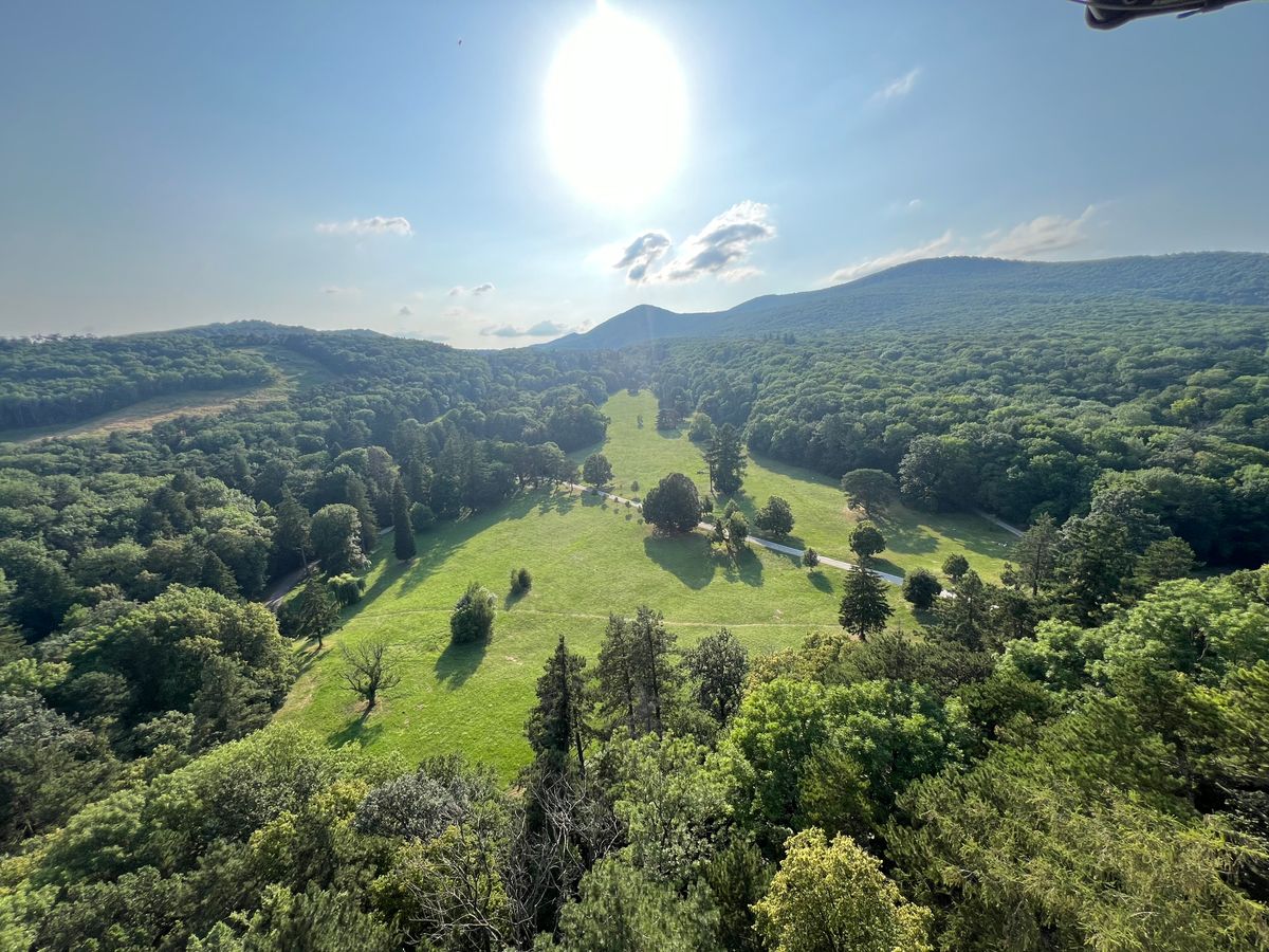 View from castle tower on course.