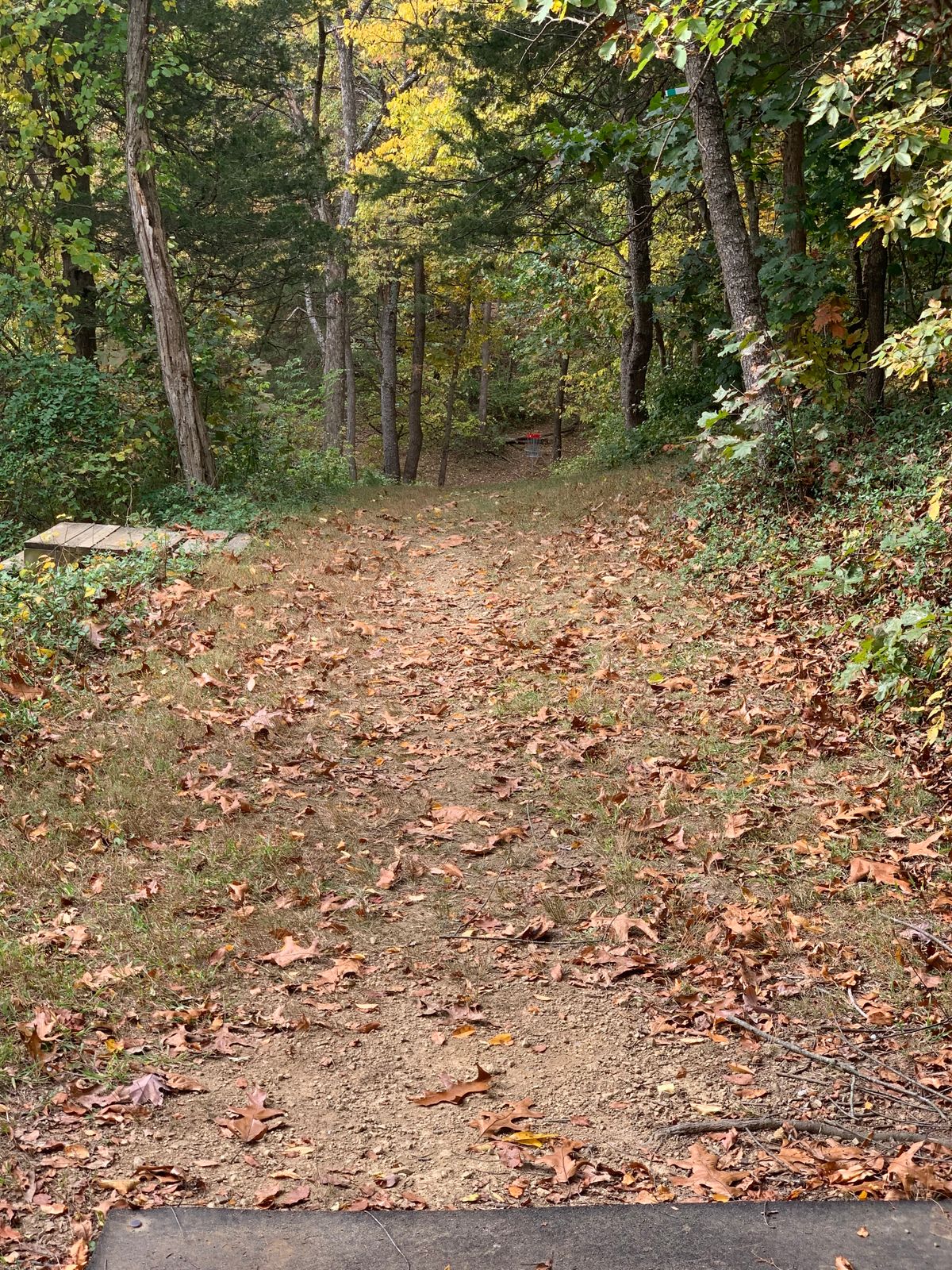 Hole 3, basket straight ahead