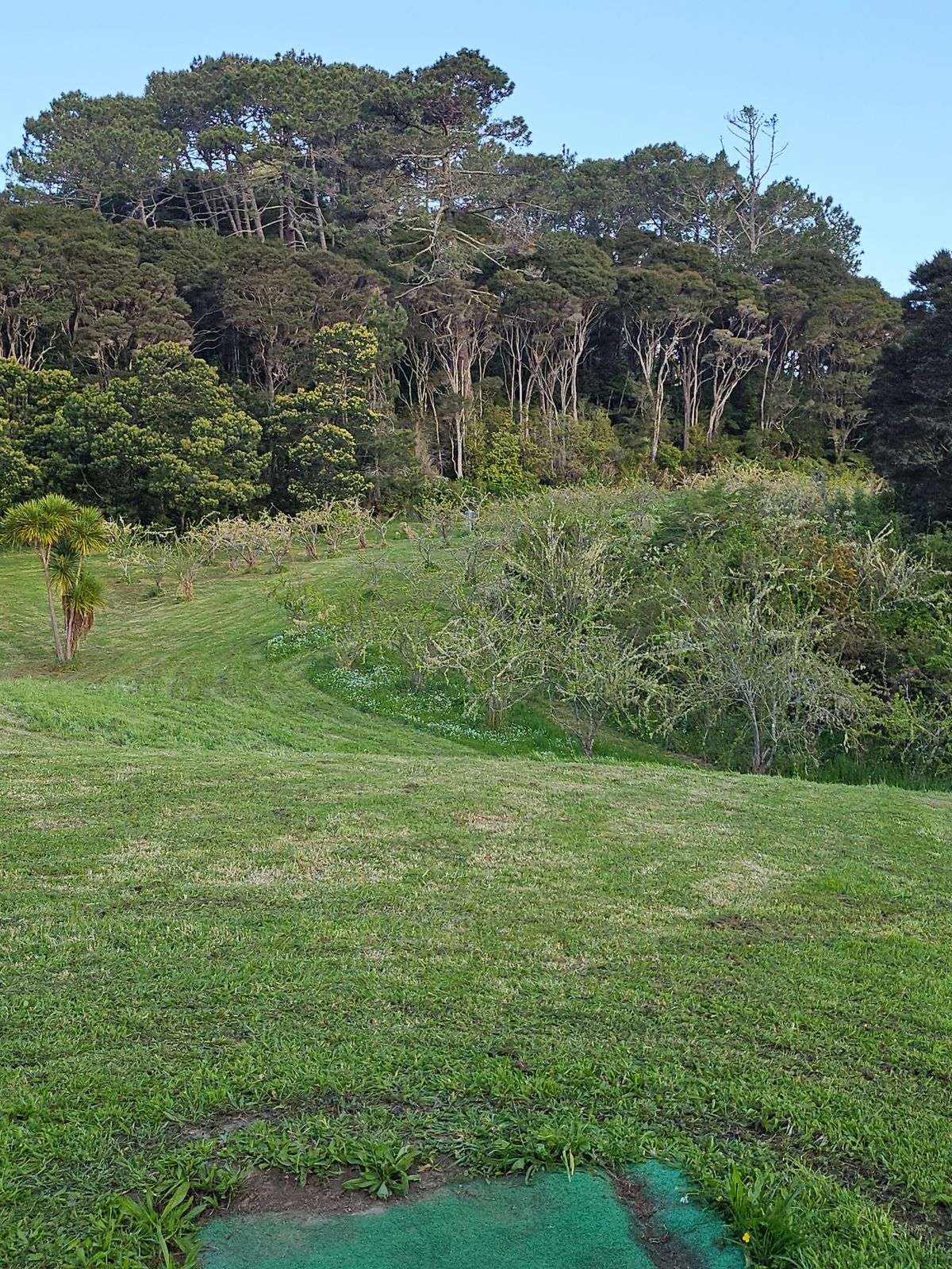 Hole 15 from the tee