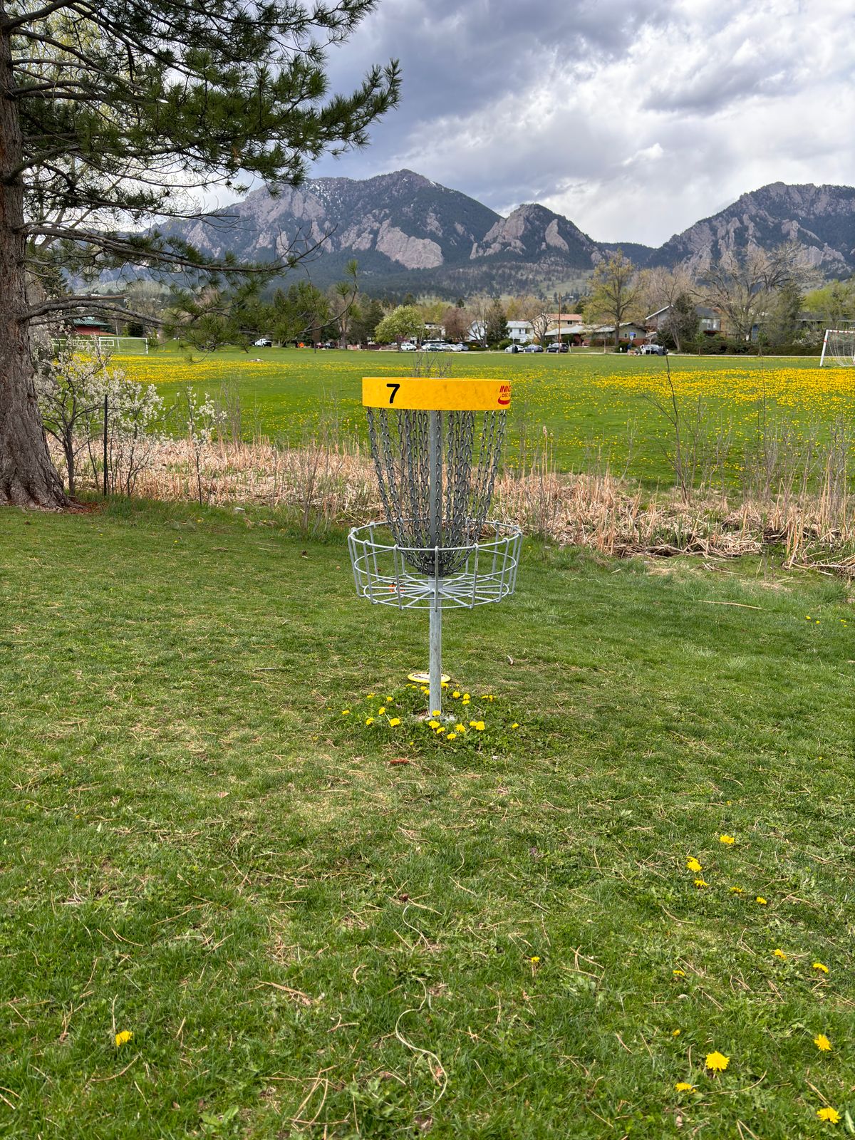 Hole 7