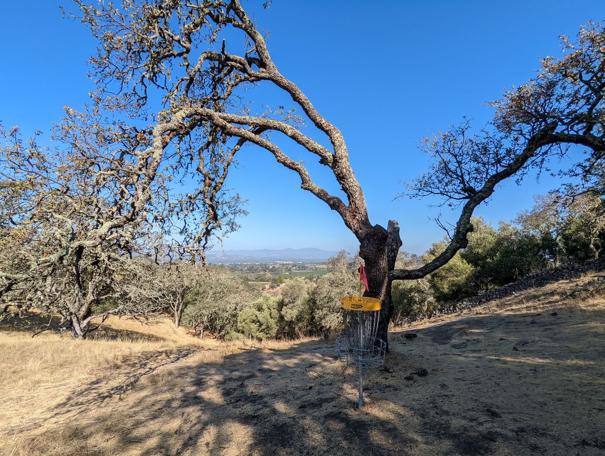 Looking back down the uphill hole 4 in Napa's Skyline Wilderness Park. The views are worth it!