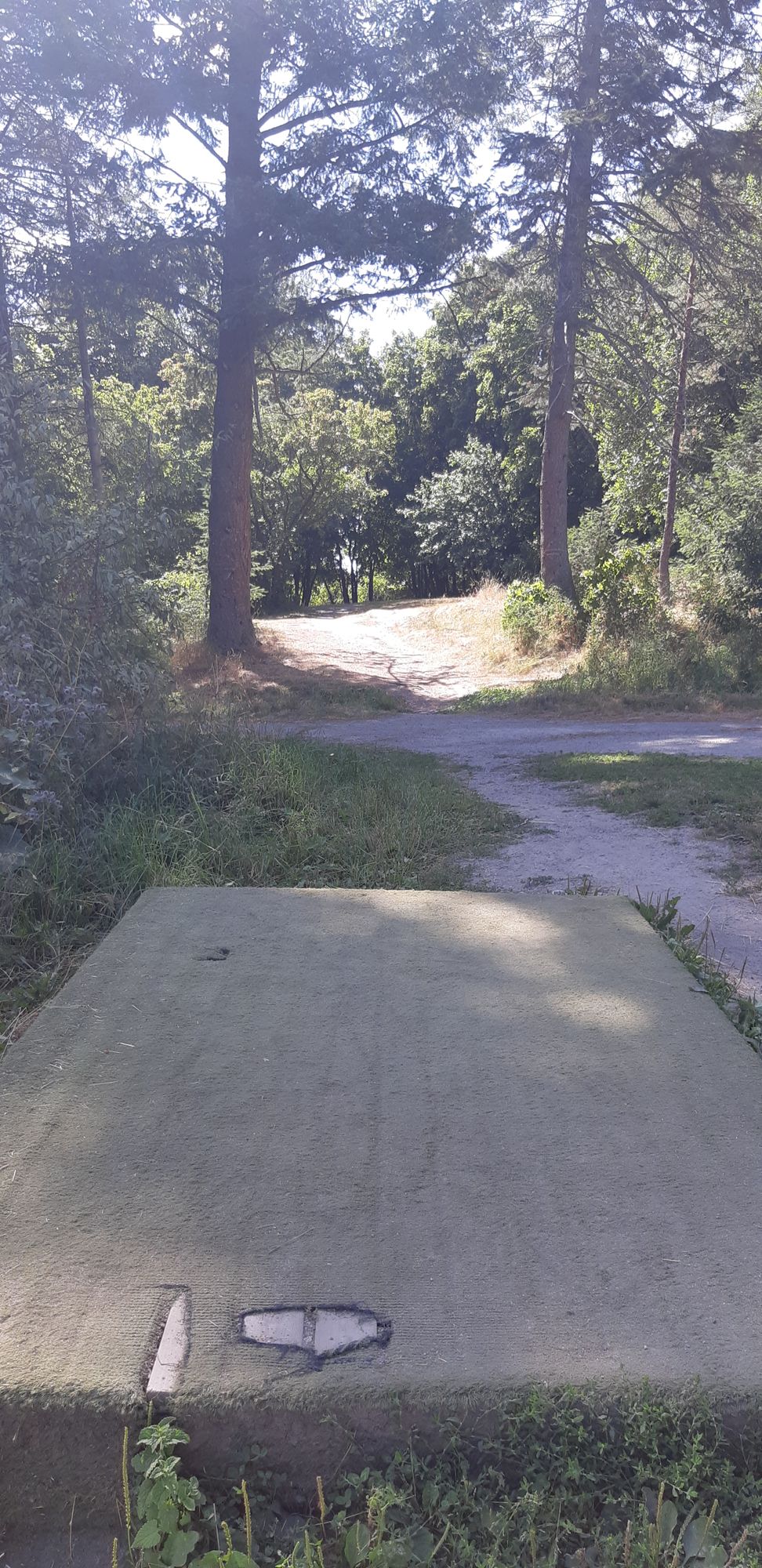 #1 69m par 3
