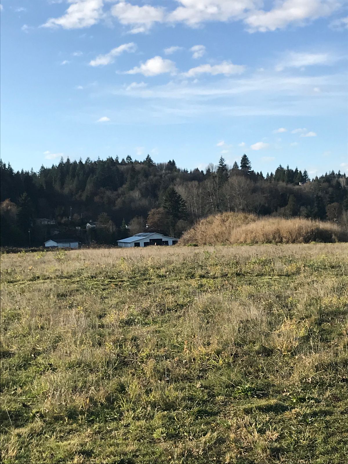 Hole 12