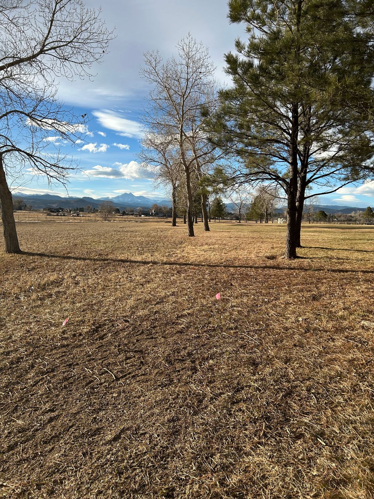 #4 alternate tee box