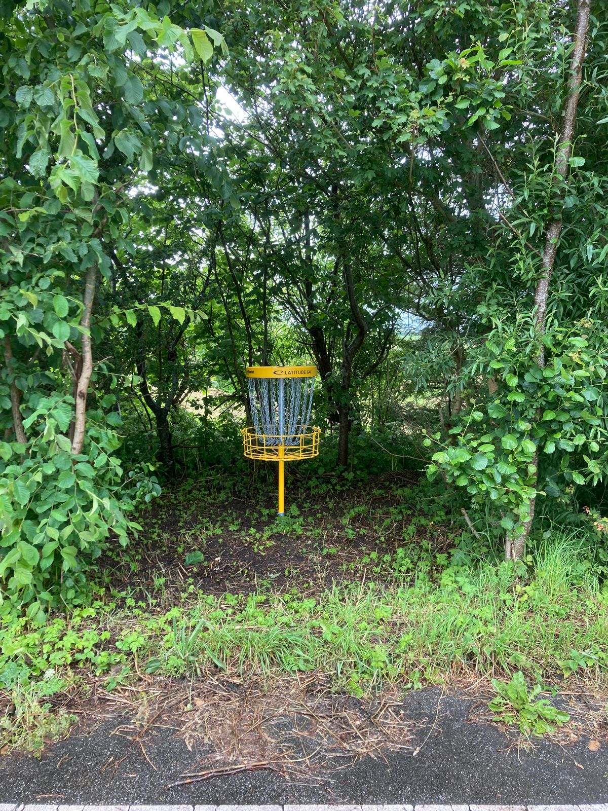 Kurv hul 1