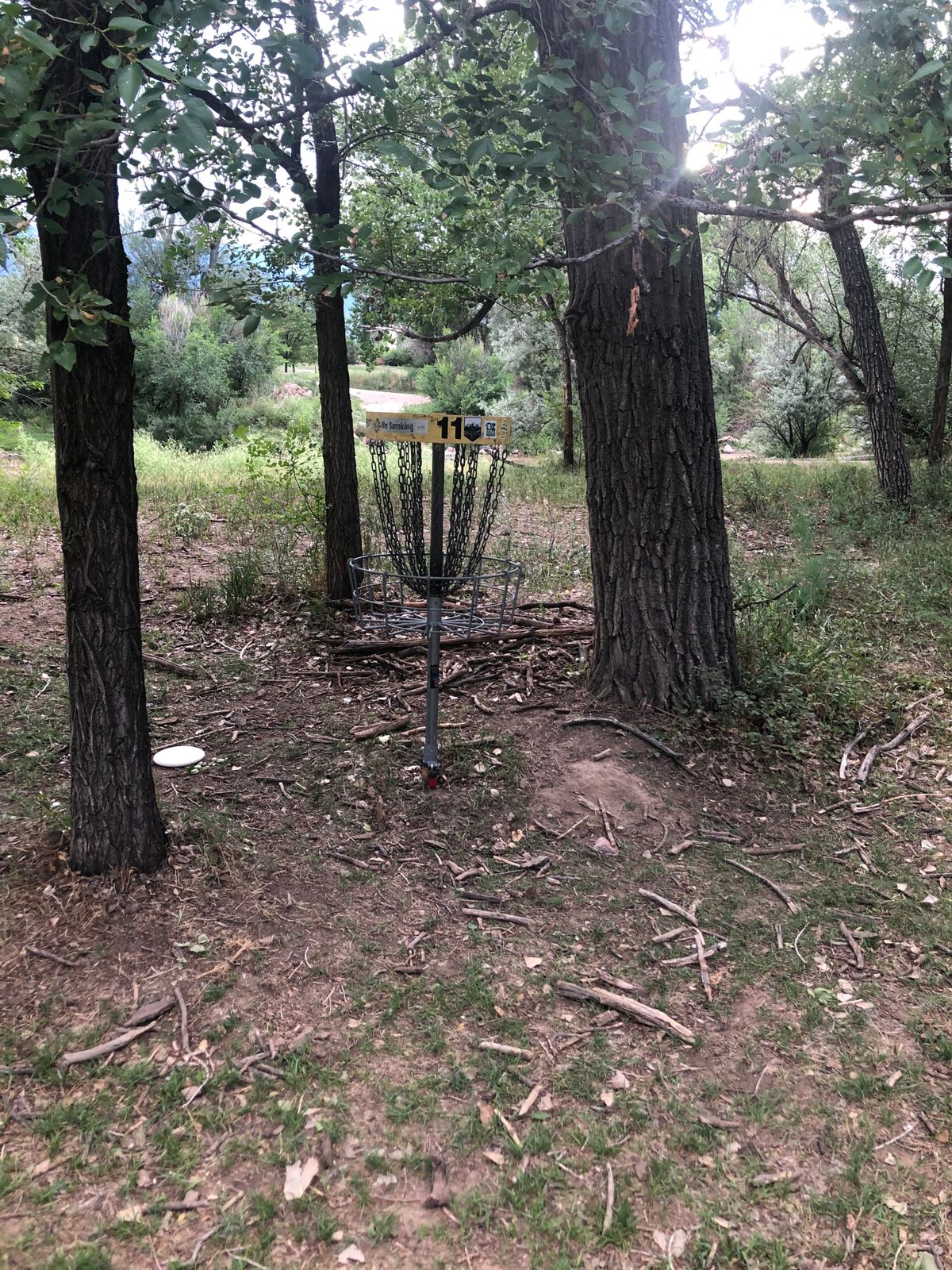 Basket guarded by trees