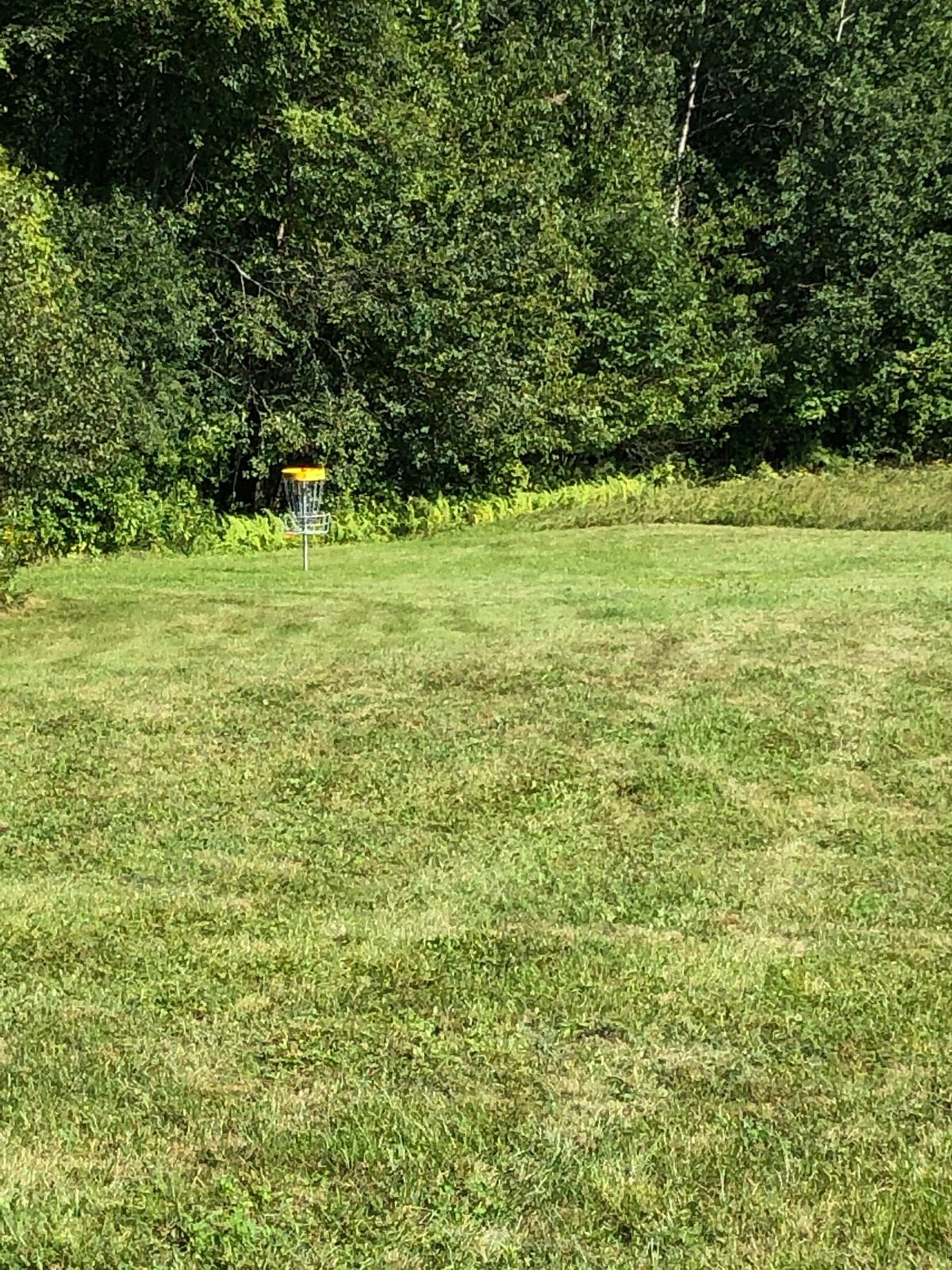3 Approach