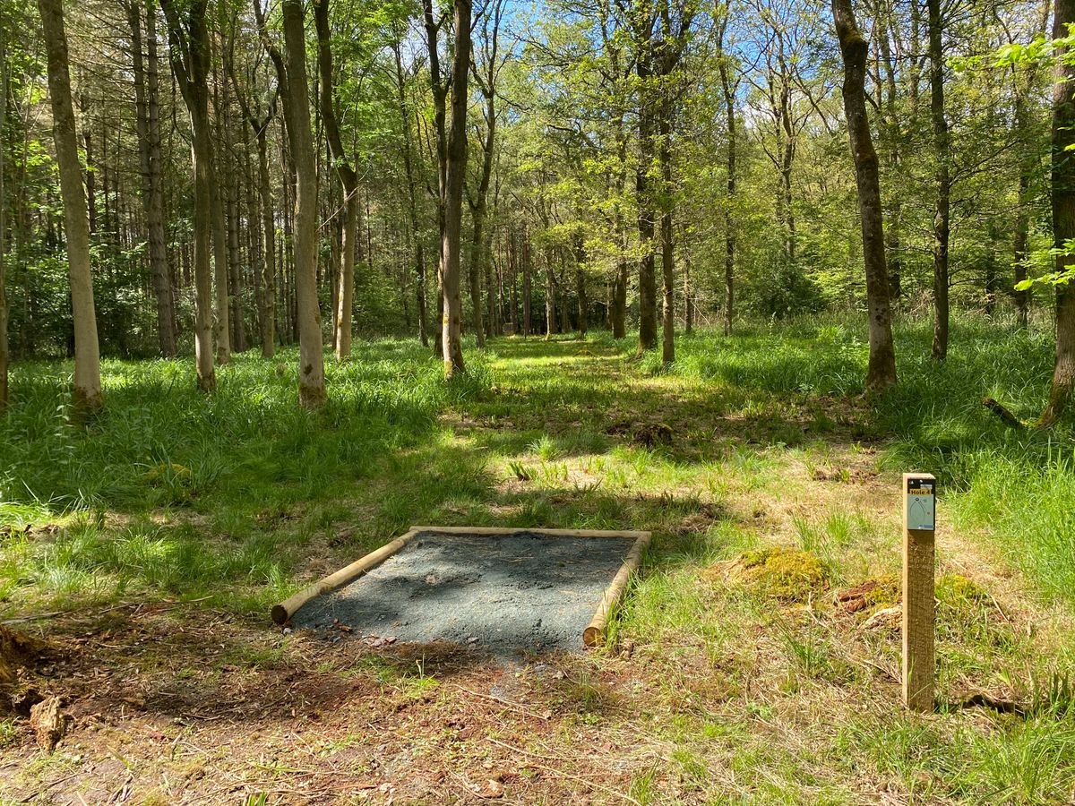 Hole 4 - Short