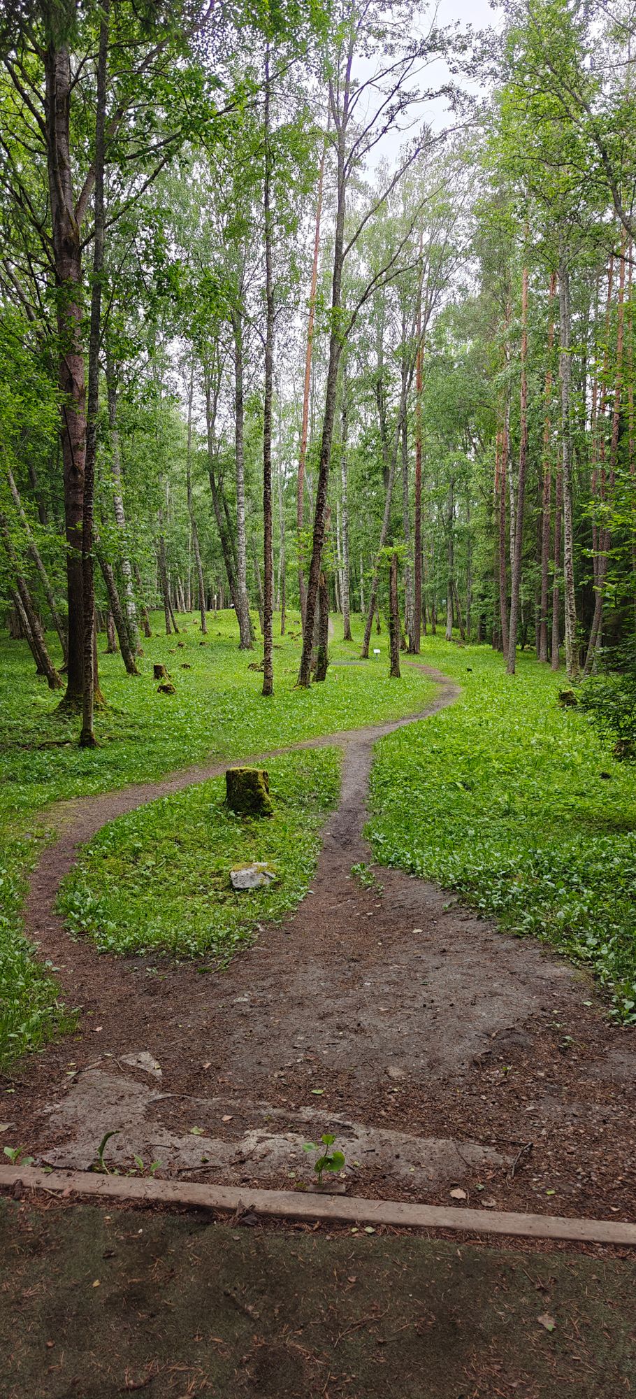 Väylä 7, punaisen leiskan tee.