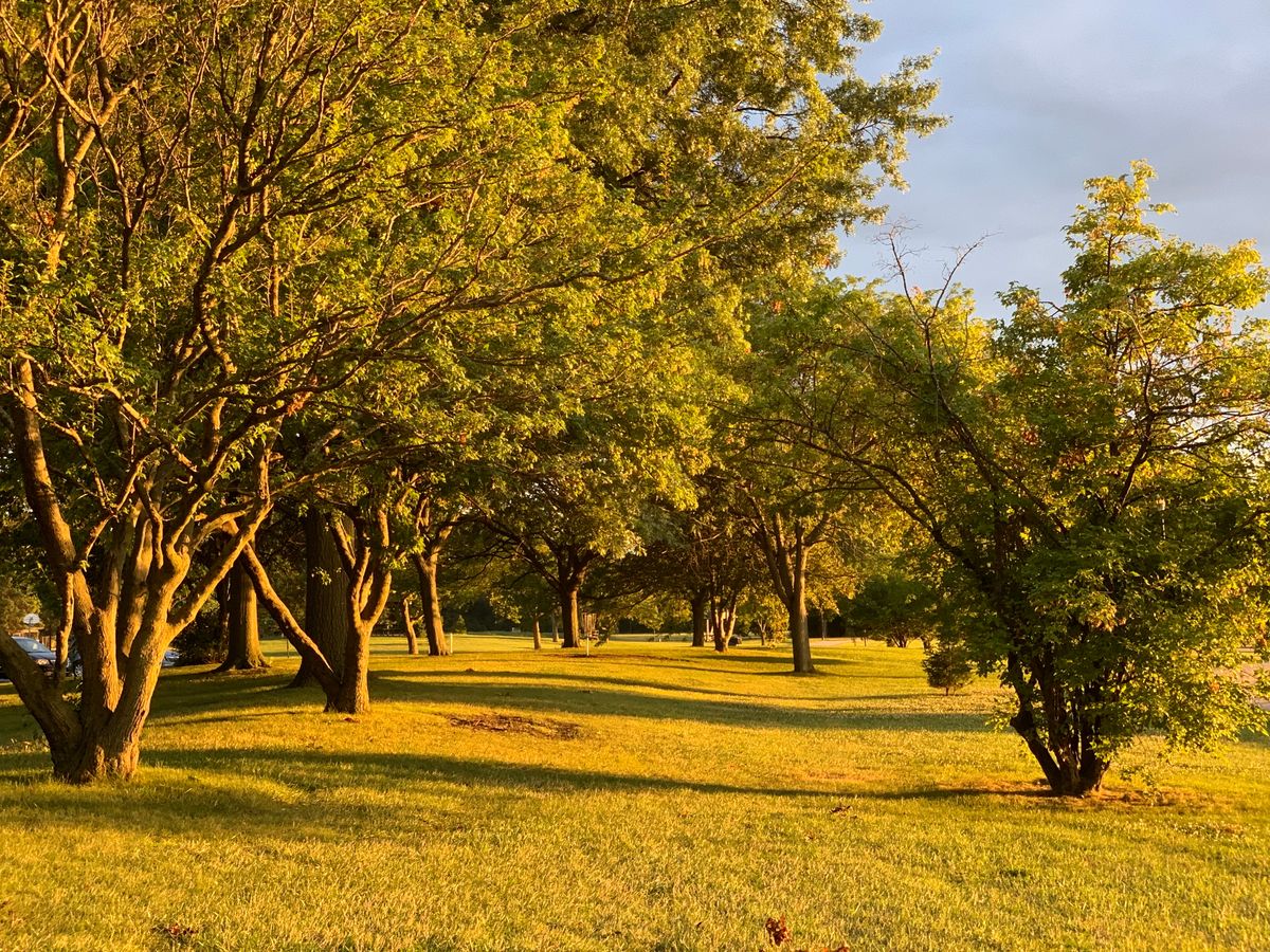 Hole 6 at sunset.