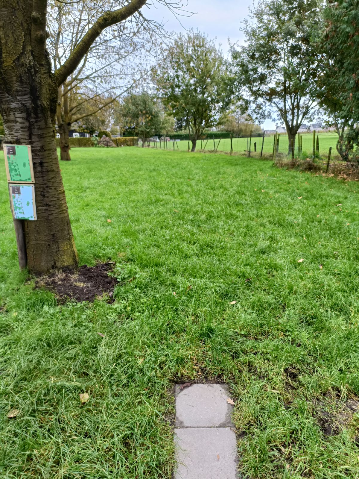 Hole 17 tee