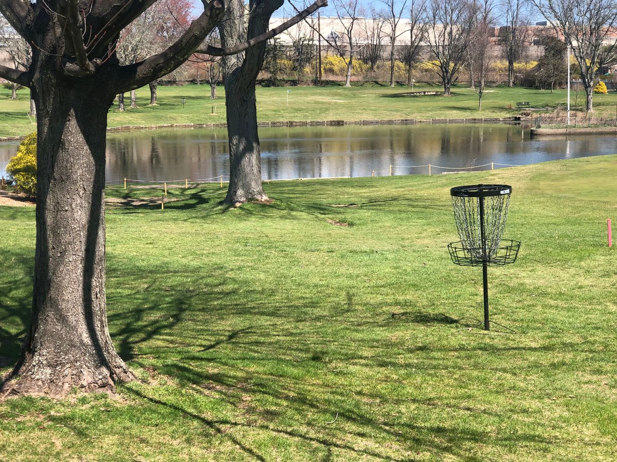 Hole 7 basket