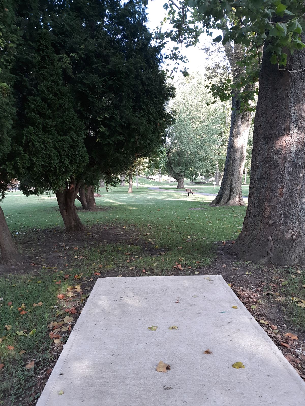 Hole 14 tee