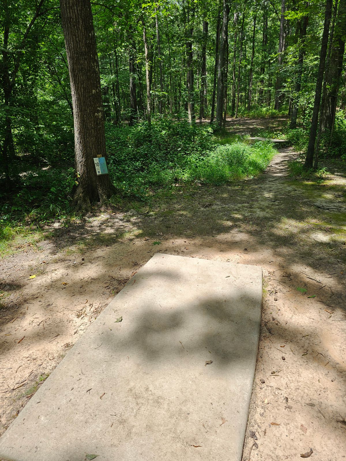 Hole 10