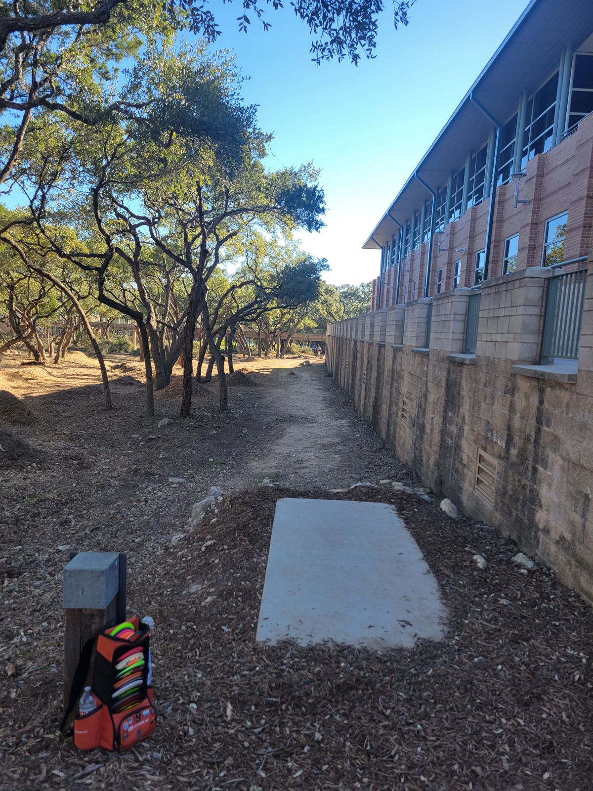 Hole #15 left side cleared.