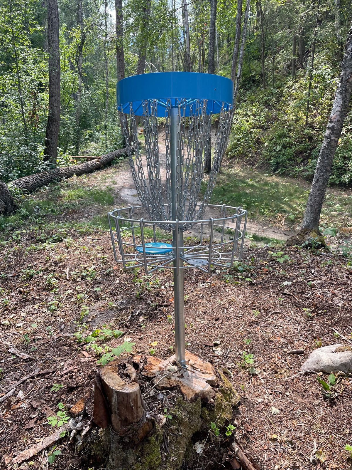 Natural raised basket location.