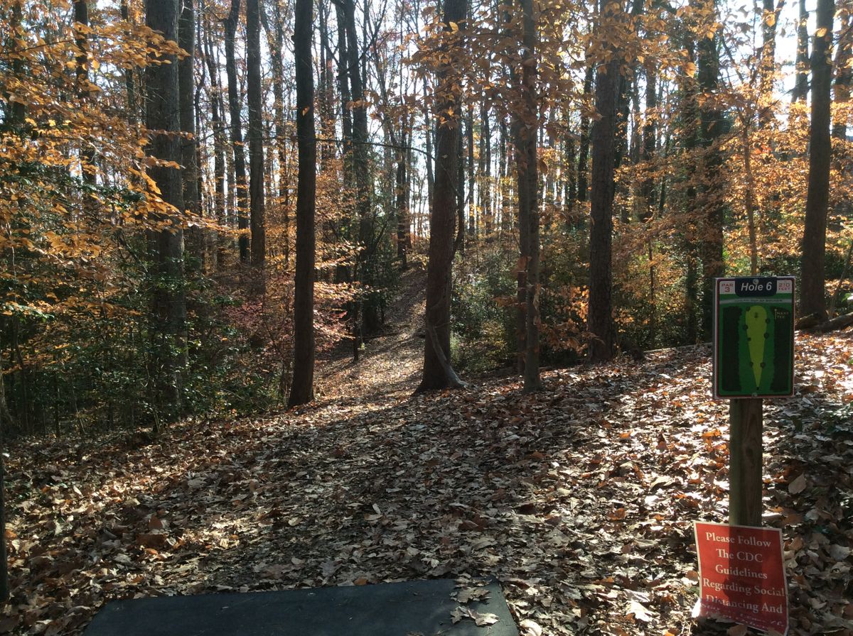 Hole #6