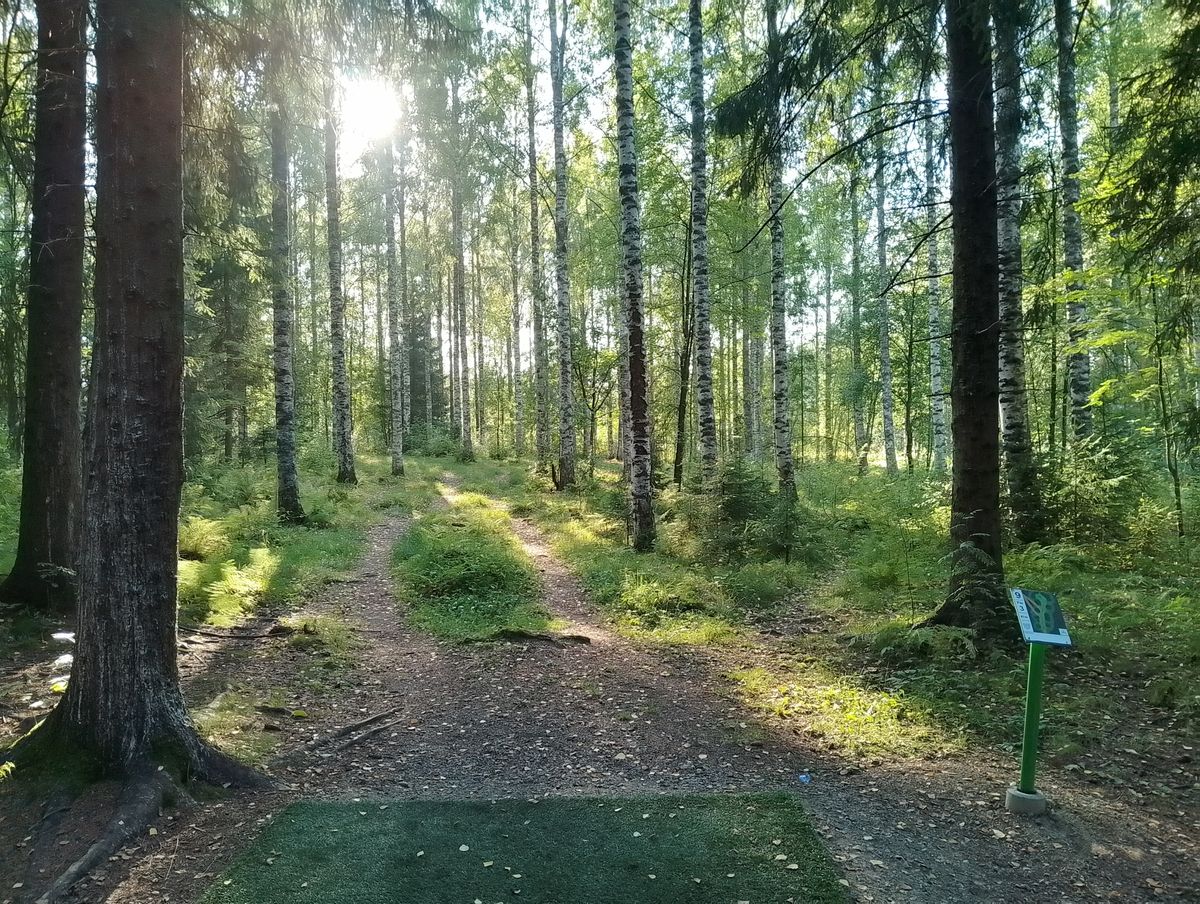 Hole #9.