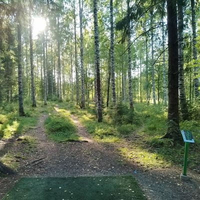 Hole #9.