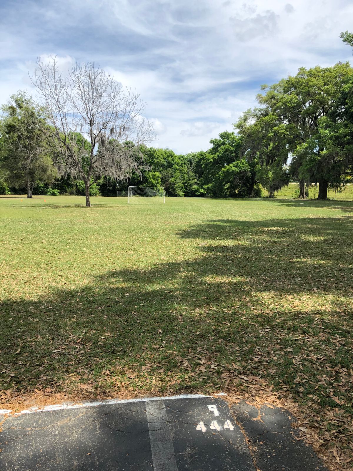 Hole 9, tee to basket