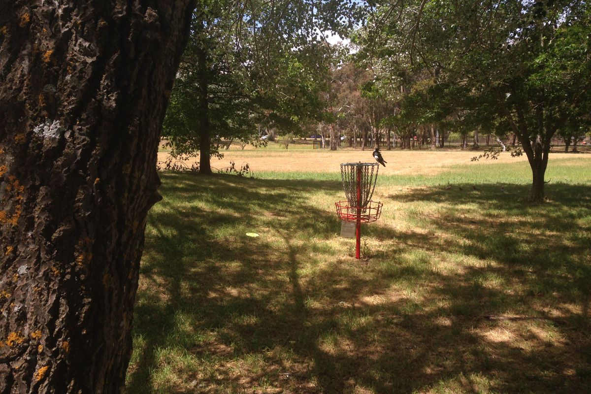 Trying to get a birdie back in 2014