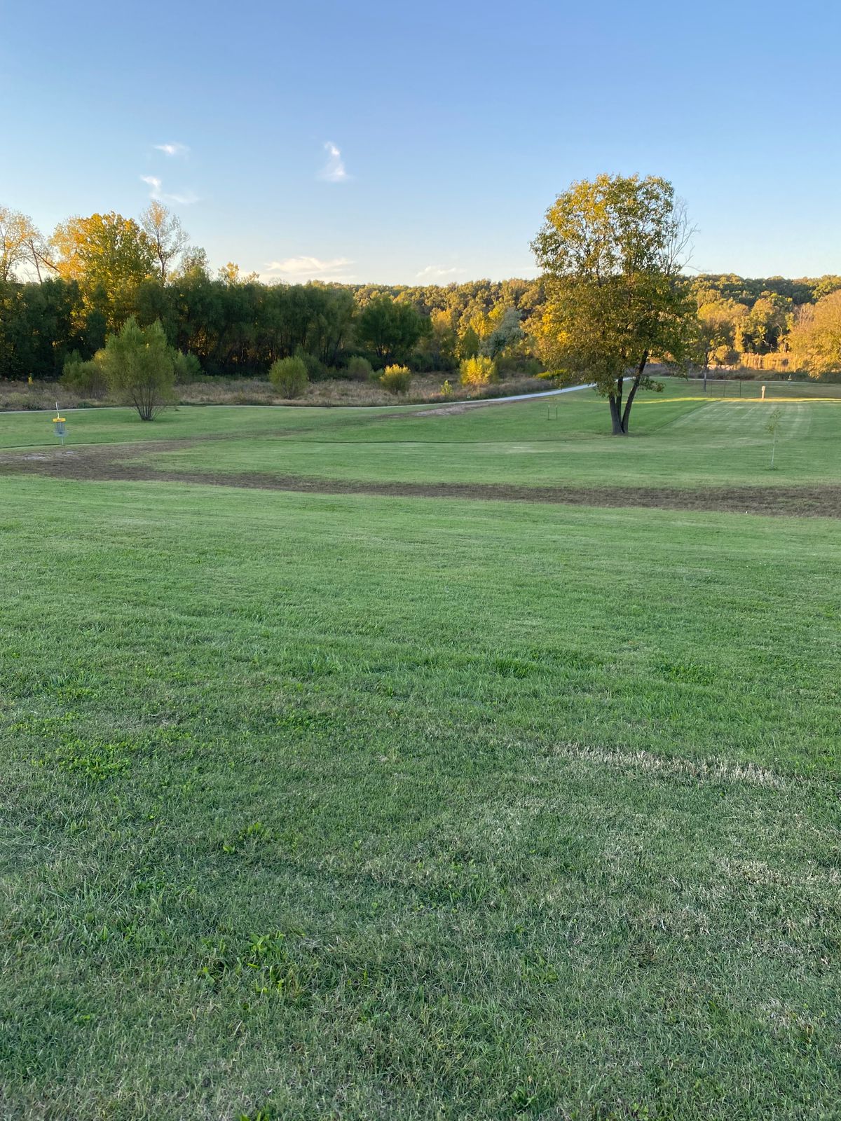 9s fairway