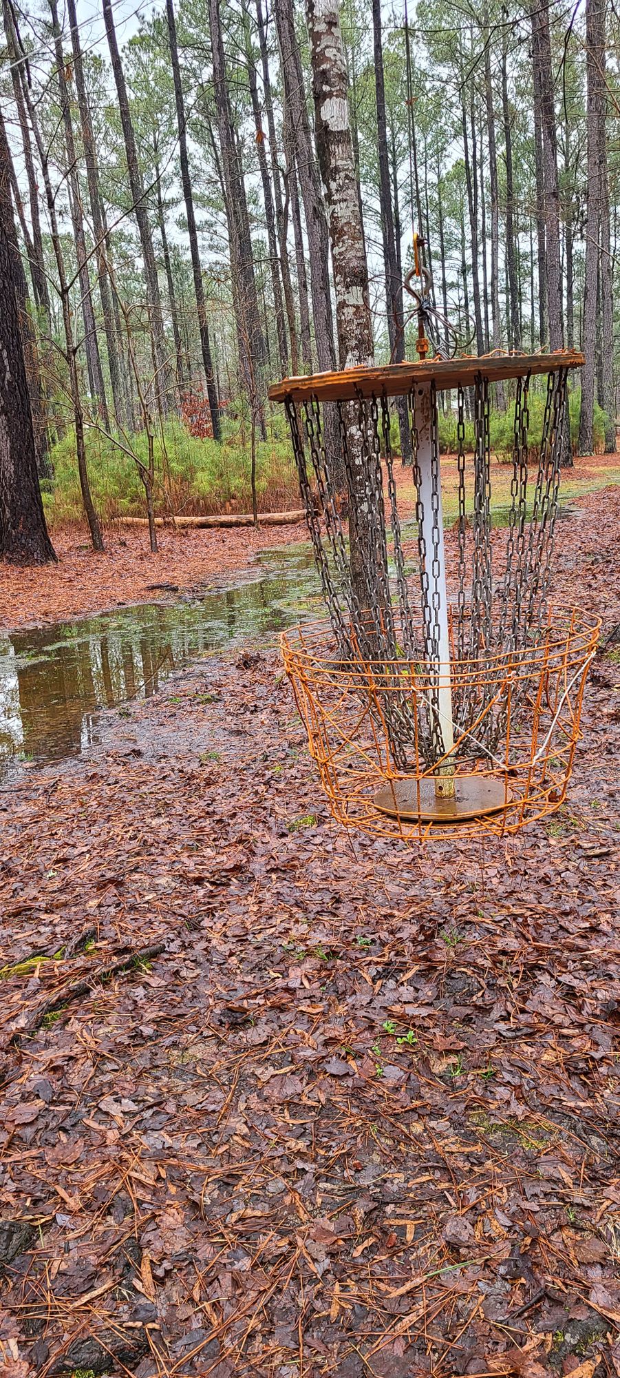 Hole #2