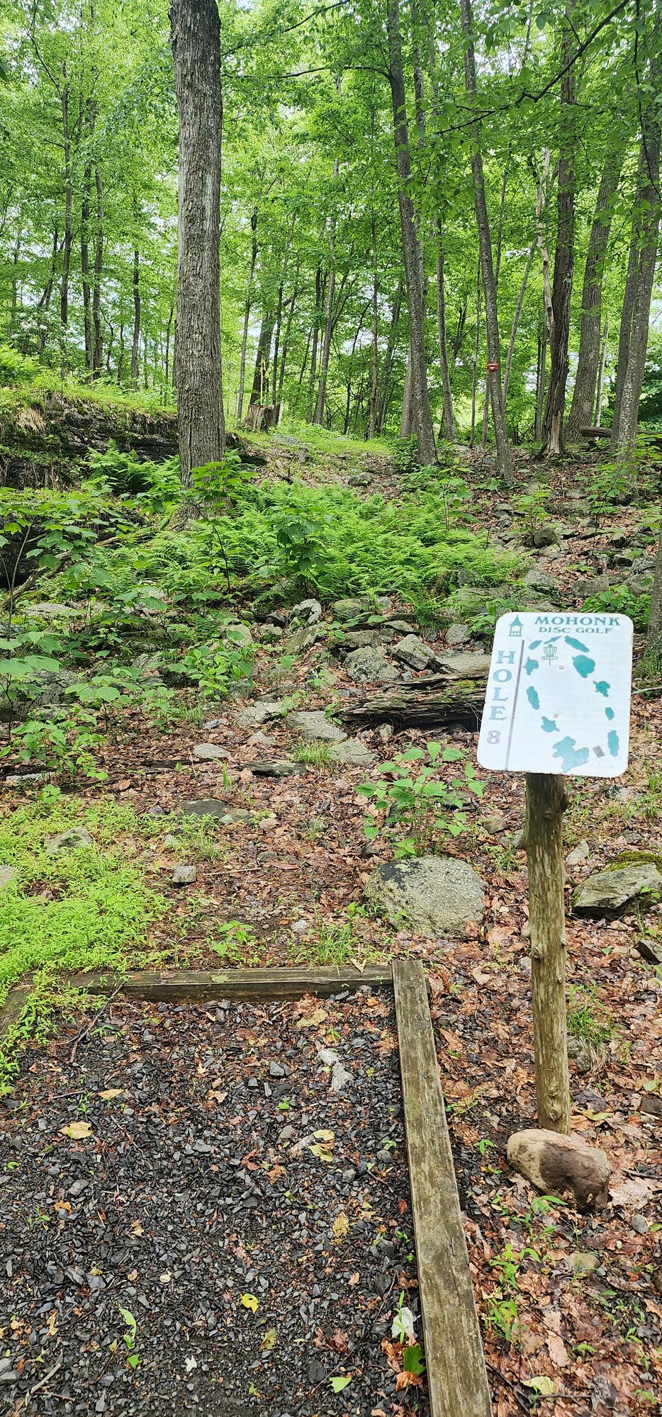 Hole 8