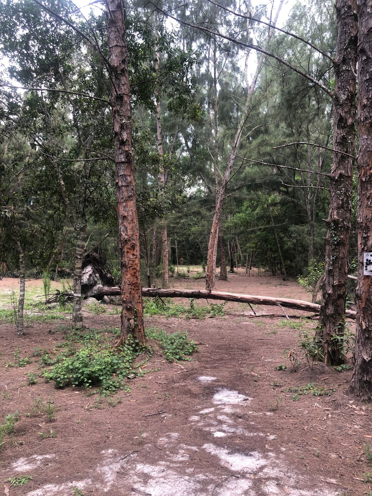 Hole 6