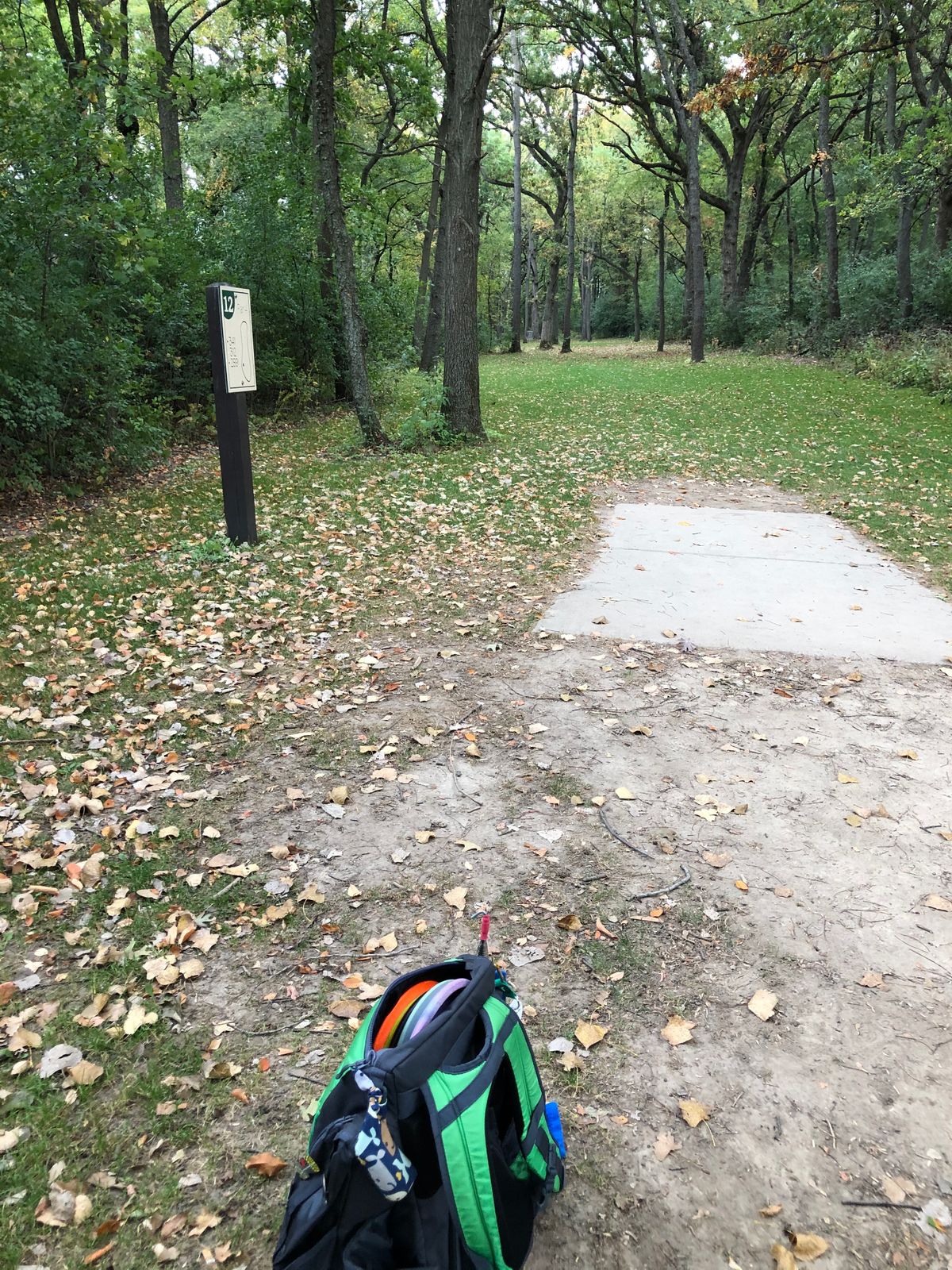 Love this wooded hole 12.