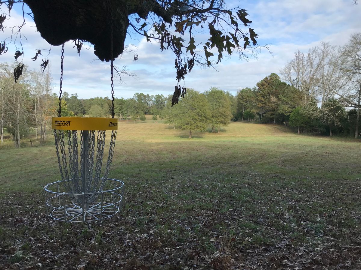 Hanging hole 12 may have visitors from the cattle heard on the other side of the fence.  Great view of the rest of the back 9 from hole 12 target.