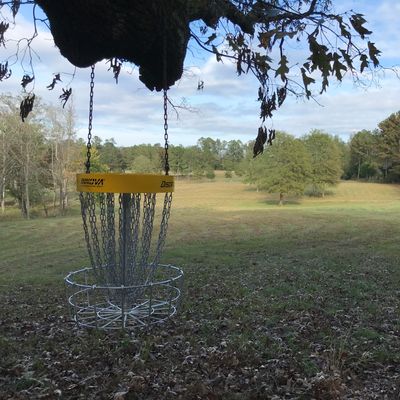 Hanging hole 12 may have visitors from the cattle heard on the other side of the fence.  Great view of the rest of the back 9 from hole 12 target.
