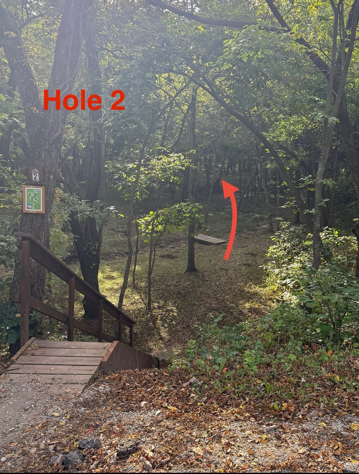 Hole 2 Thrown from the road, with tight line low ceiling across creek to elevated landing zone